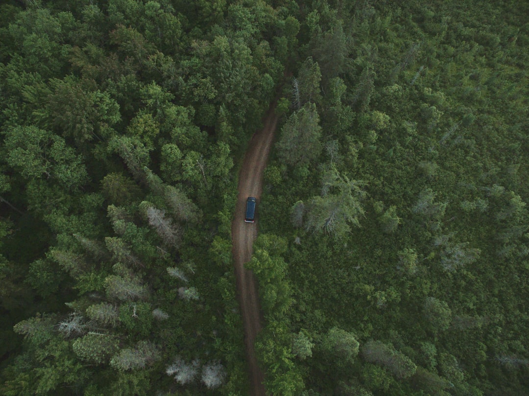 high angle photography of blue vehicle beside green trees