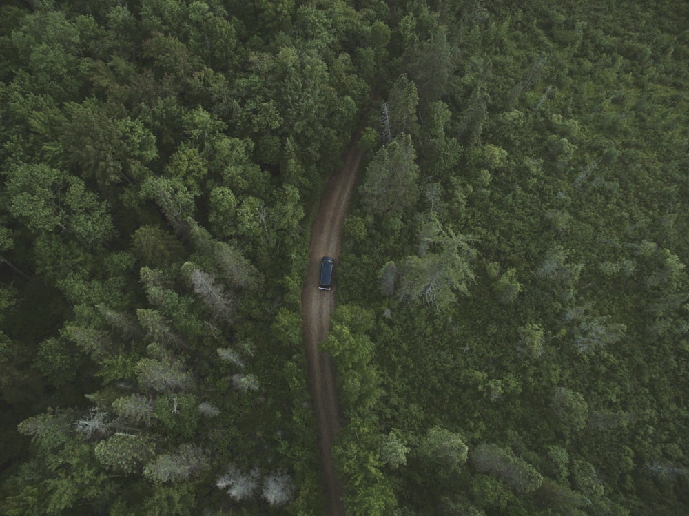 high angle photography of blue vehicle beside green trees