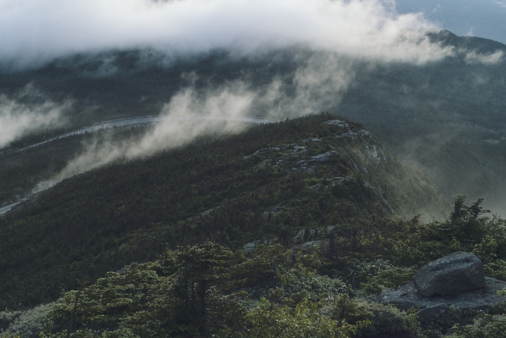 Des arbres verts sous des nuages blancs