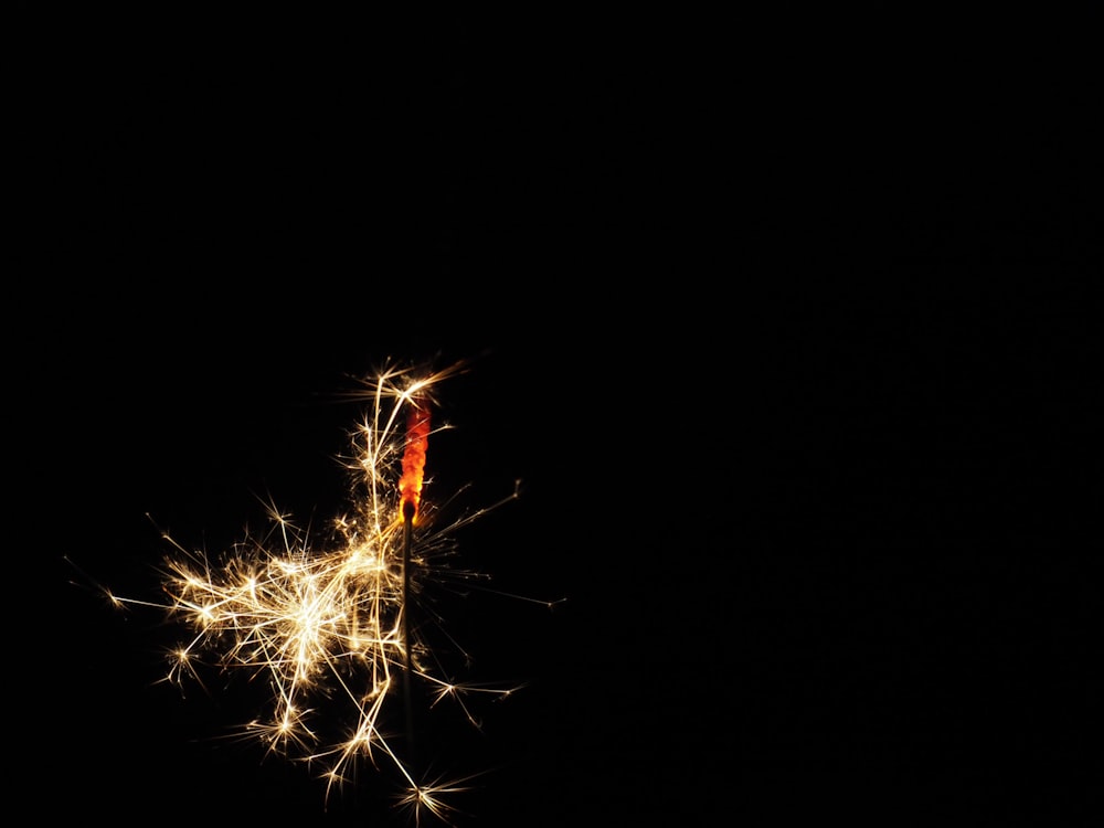 firecrackers on black background