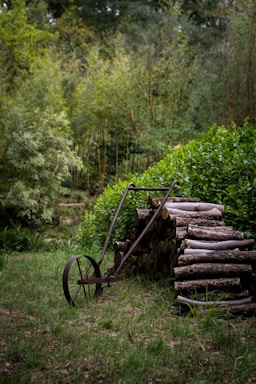 A collection of sturdy forest office tools including brush cutters, lawn mowers, and sprayers arranged neatly outdoors.