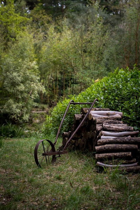 A collection of sturdy forest office tools including brush cutters, lawn mowers, and sprayers arranged neatly outdoors.