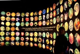 A wall display of numerous circular images, each showcasing a variety of vibrant natural forms and creatures. In the center, a quote by Charles Darwin emphasizing the beauty and diversity of evolved forms is visible. The images include patterns and textures of different plants and animals.