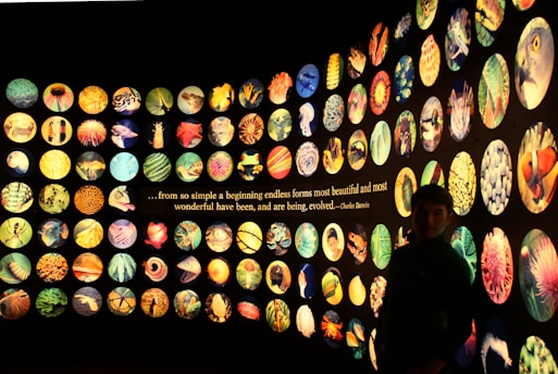 A wall display of numerous circular images, each showcasing a variety of vibrant natural forms and creatures. In the center, a quote by Charles Darwin emphasizing the beauty and diversity of evolved forms is visible. The images include patterns and textures of different plants and animals.