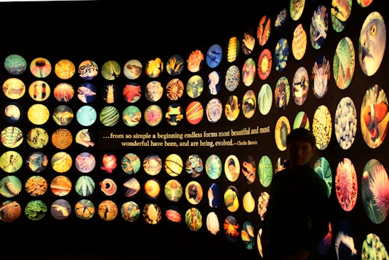 A wall display of numerous circular images, each showcasing a variety of vibrant natural forms and creatures. In the center, a quote by Charles Darwin emphasizing the beauty and diversity of evolved forms is visible. The images include patterns and textures of different plants and animals.