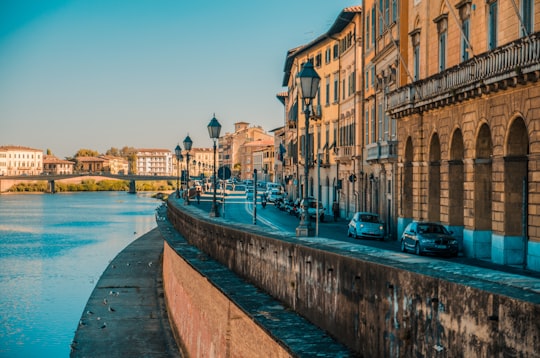 vehicles traveling on road between buildings and body of water in Pisa Italy