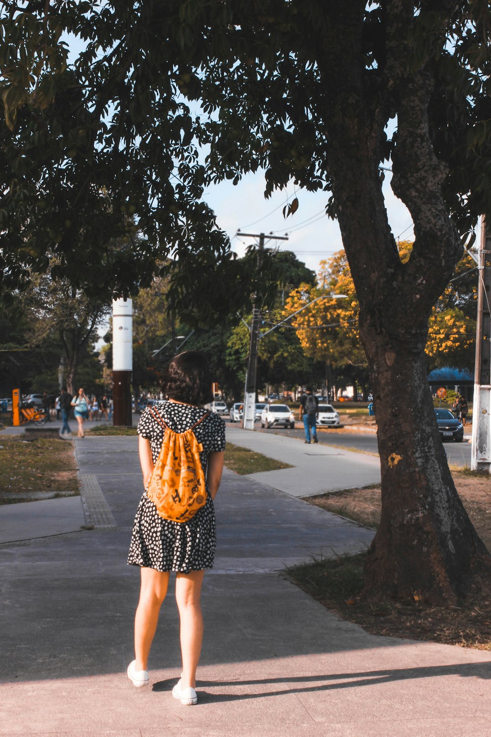 femme debout près de l’arbre