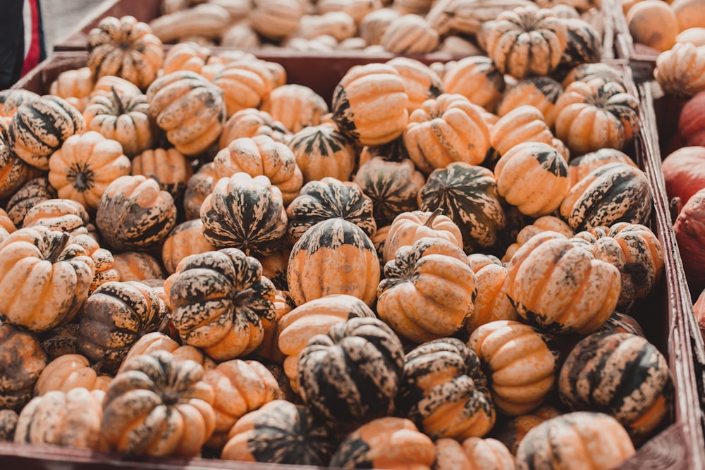 shallow focus photo of vegetables