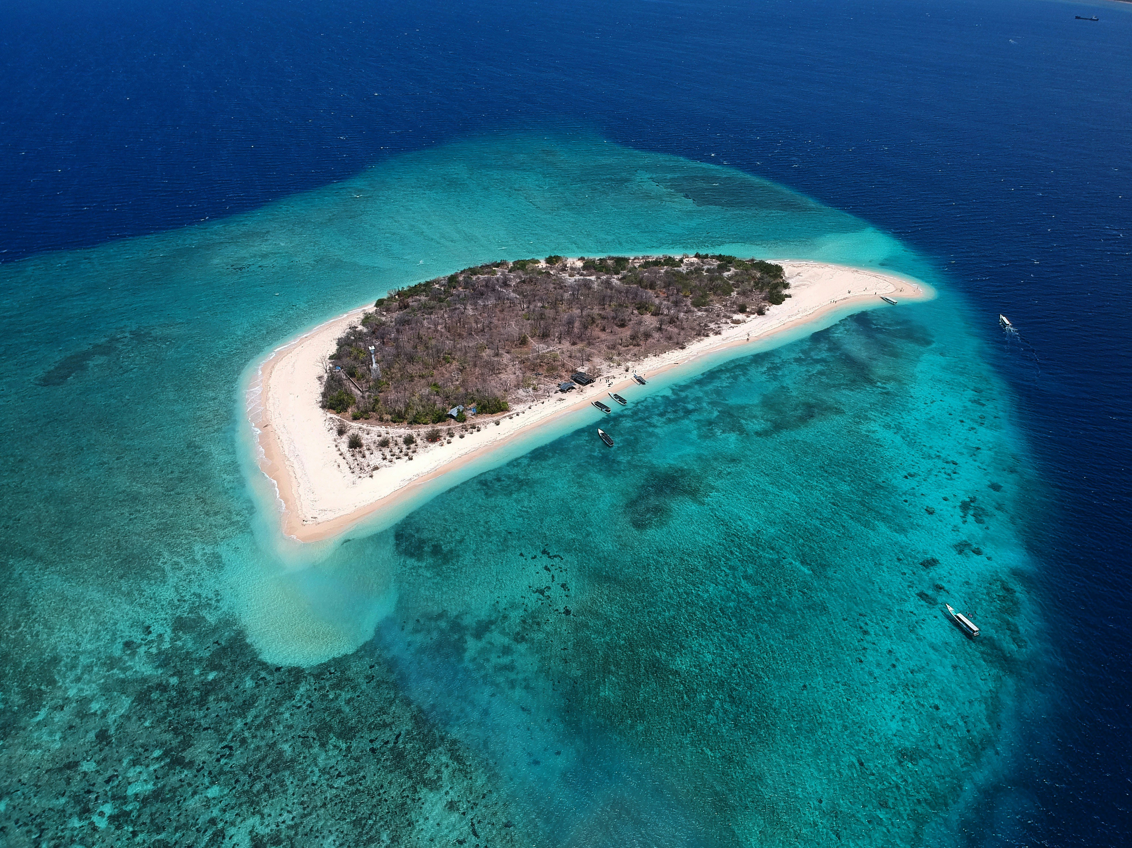 Photo by rewardyfahmi