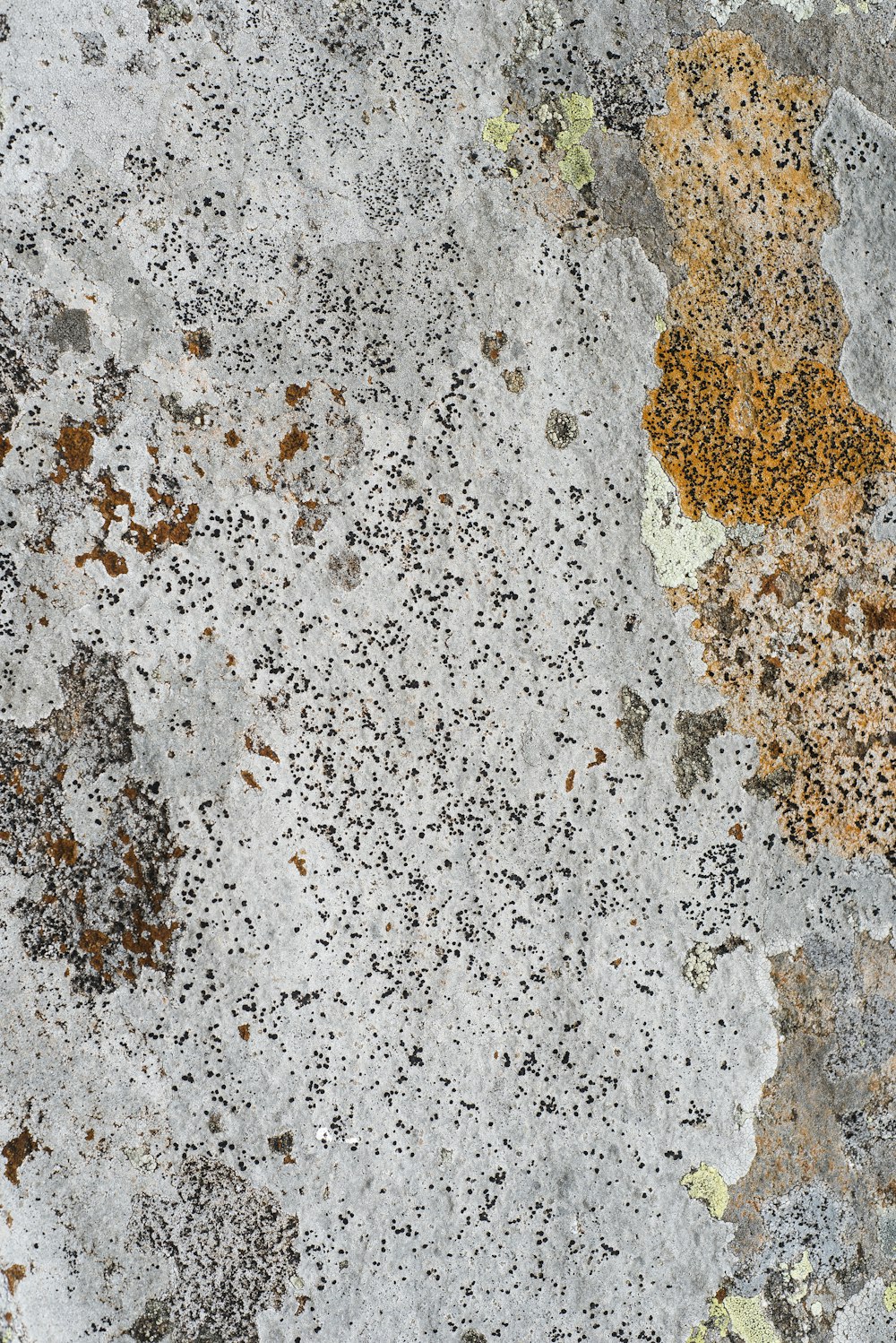 a close up of a rock with a yellow spot