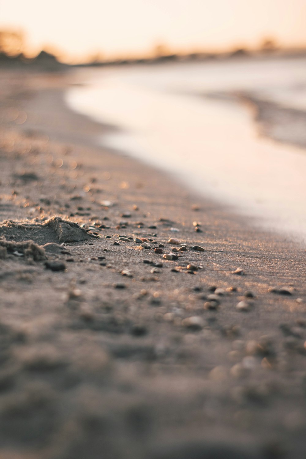 해변의 모래와 물의 클로즈업