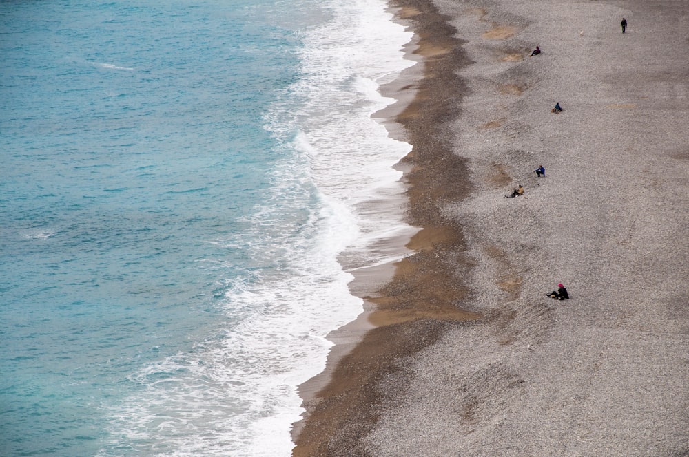 seashore painting