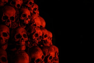 gray skull wallpaper