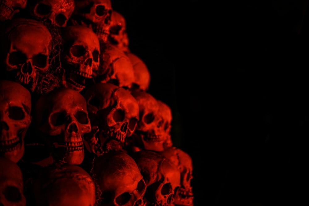 gray skull wallpaper