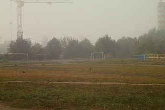 A foggy outdoor scene with a playground and a football field. Goals are visible in the background with a crane looming over the trees, which are partially obscured by the mist. Two birds are on the grassy field, and playground equipment is seen on the right.