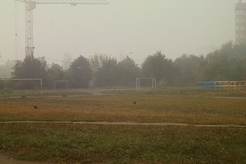 A foggy outdoor scene with a playground and a football field. Goals are visible in the background with a crane looming over the trees, which are partially obscured by the mist. Two birds are on the grassy field, and playground equipment is seen on the right.