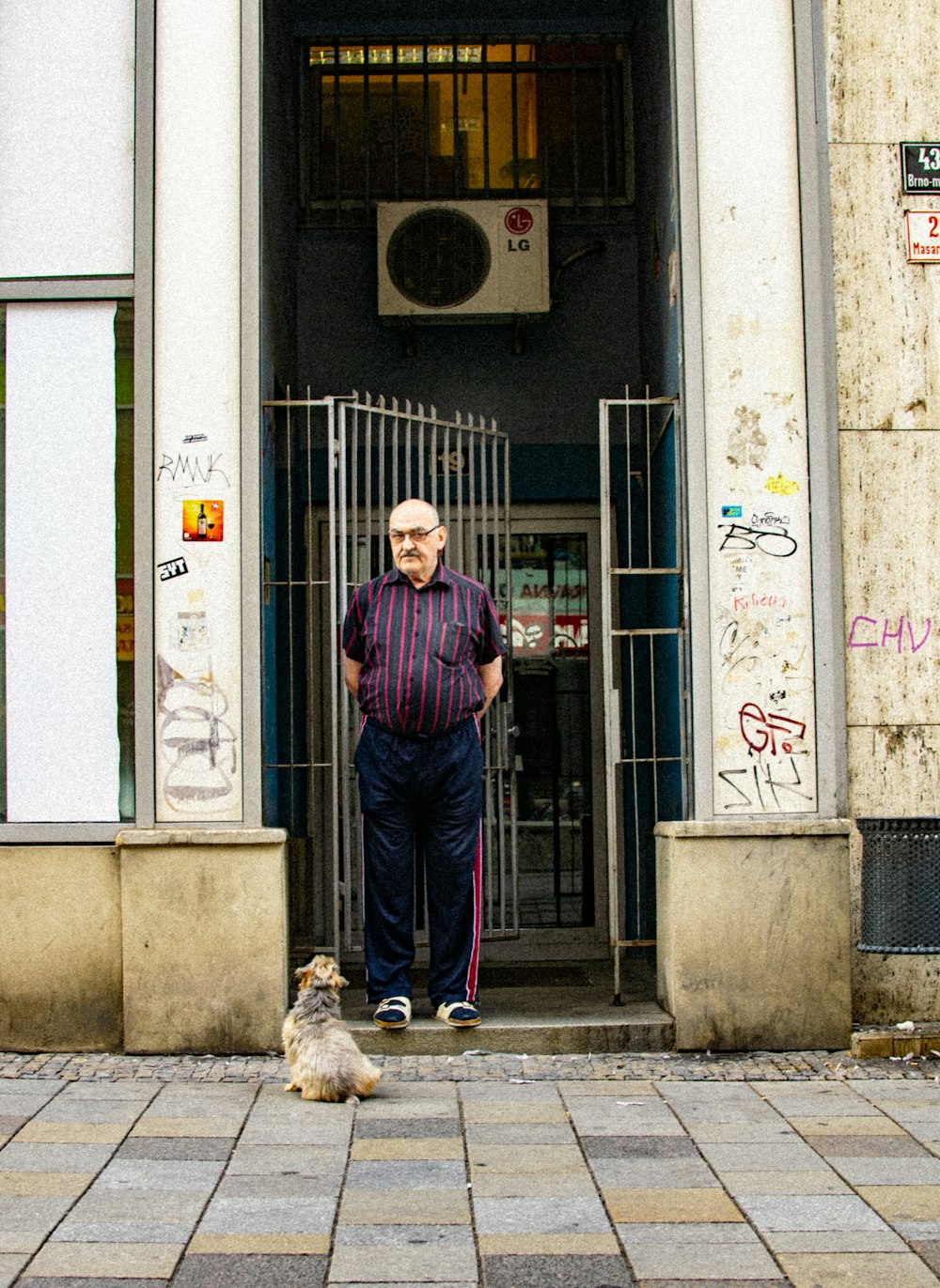Mann steht vor braunem Hund