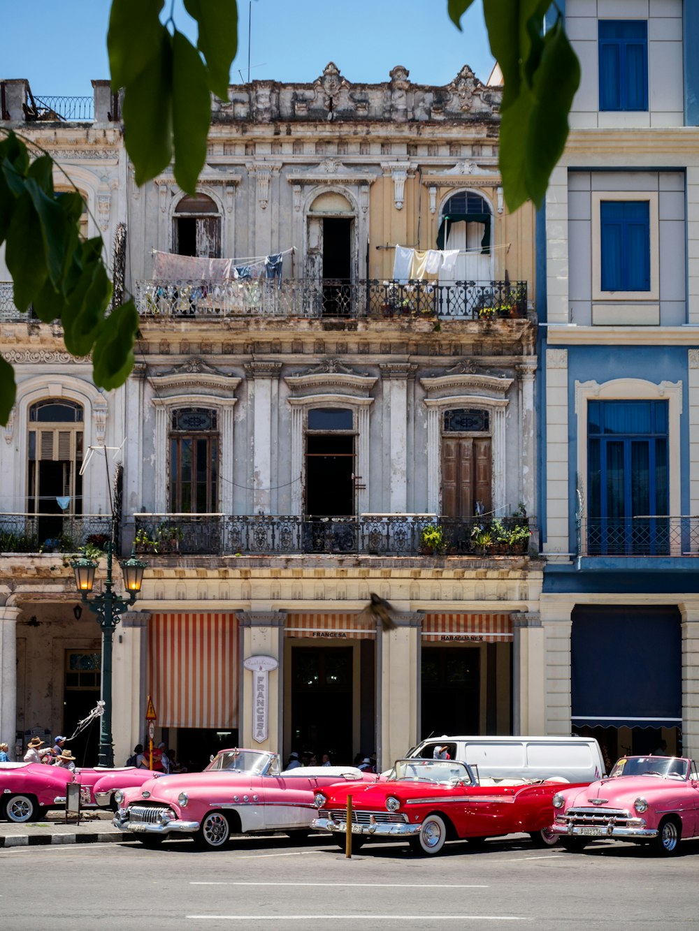 veicolo parcheggiato accanto a edifici in cemento