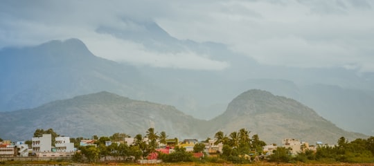 white building with trees in Palani India