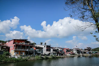 A calm lakeside neighborhood street lined with charming homes under a bright blue sky.