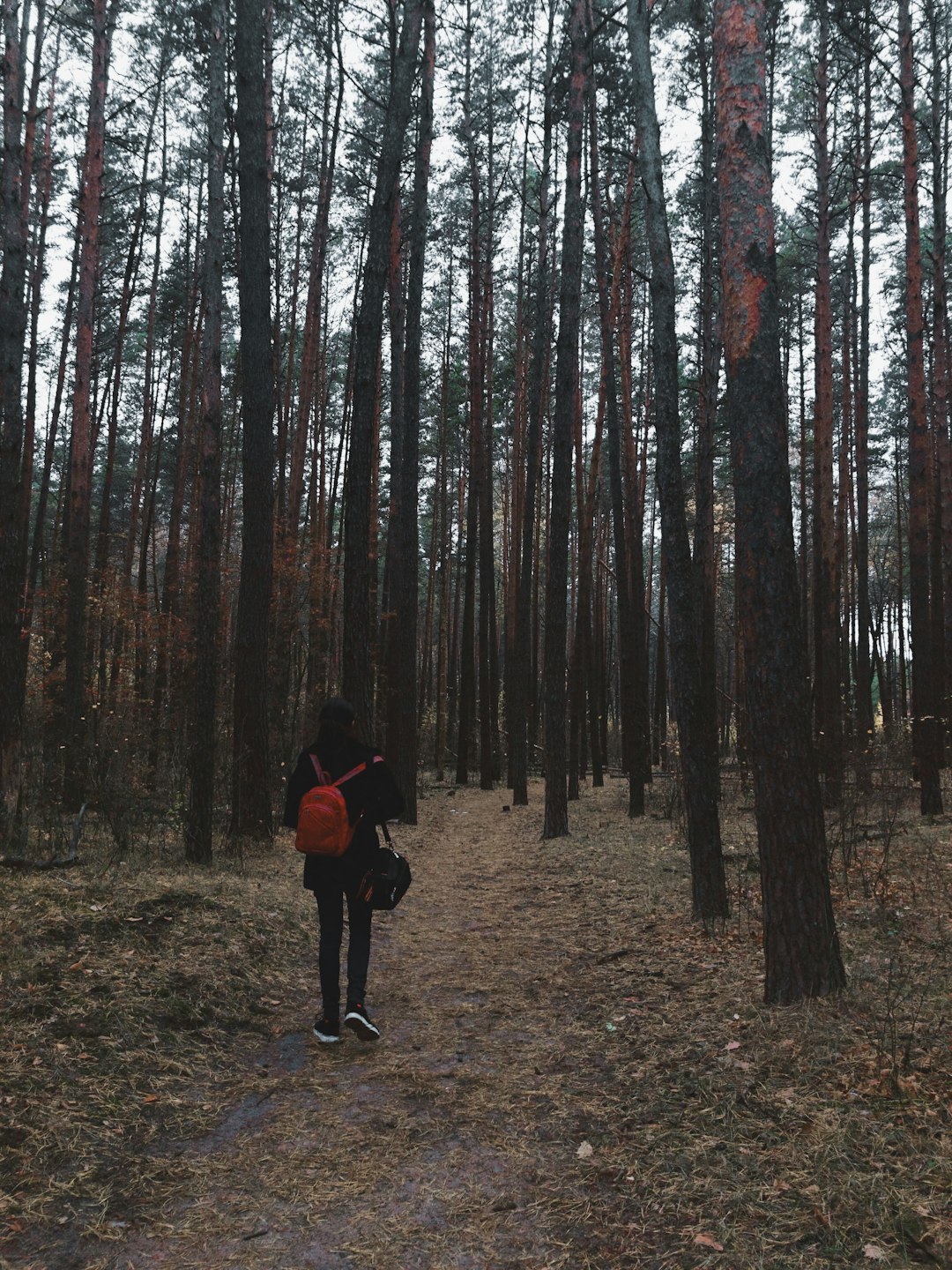 Forest photo spot Kursk Russia