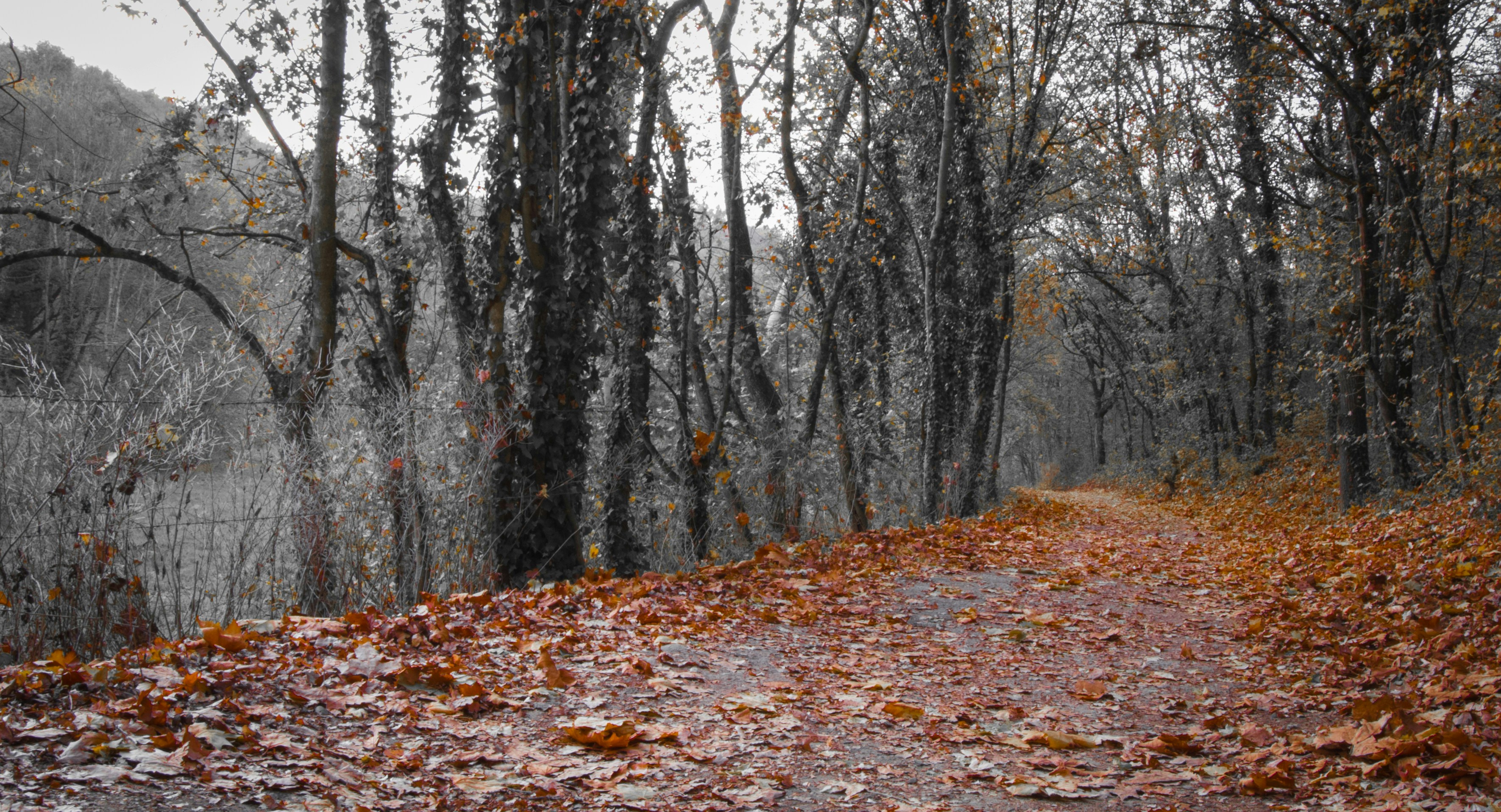 Photo by ludo_photos