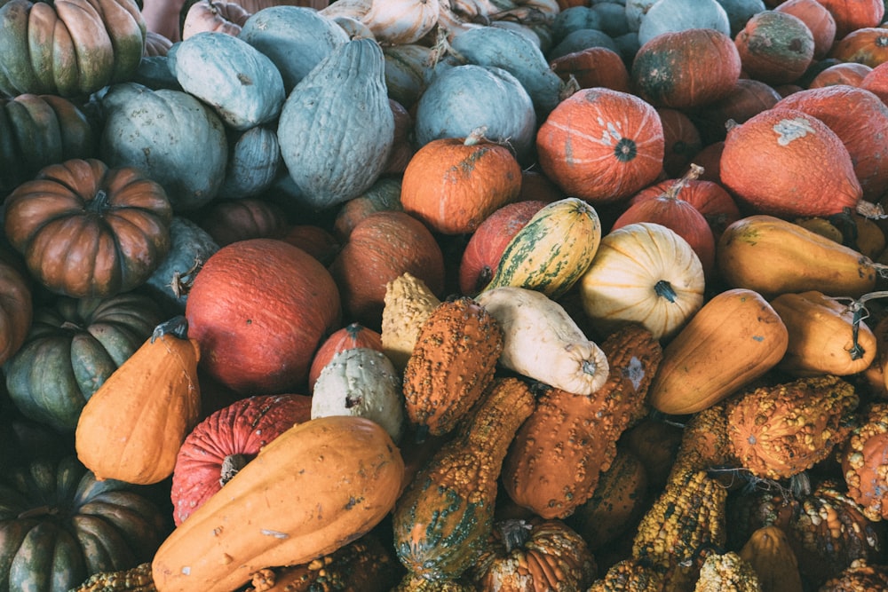 variety of vegetable lot