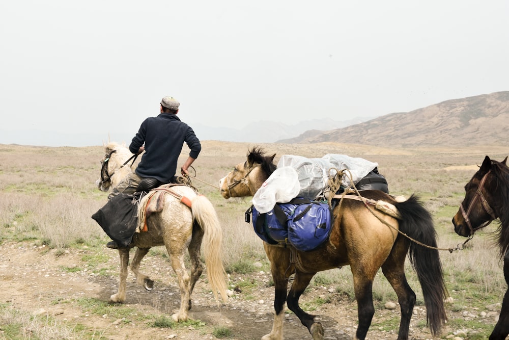 person riding on horse during daytime