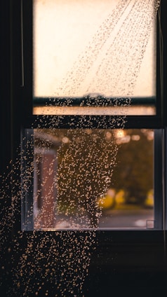 A friendly technician in uniform assessing a water-damaged living room bathed in natural light.