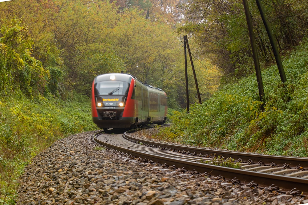 red and black train passing between trees