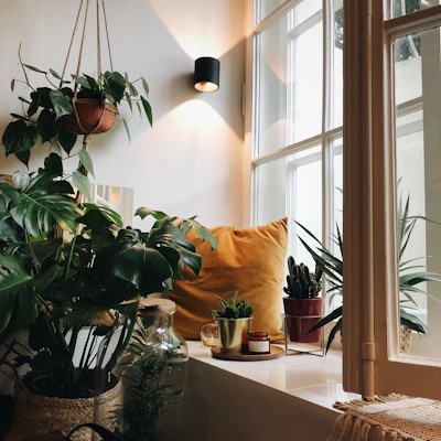 A cozy window nook featuring a wooden window sill extender adorned with thriving potted plants basking in natural light.