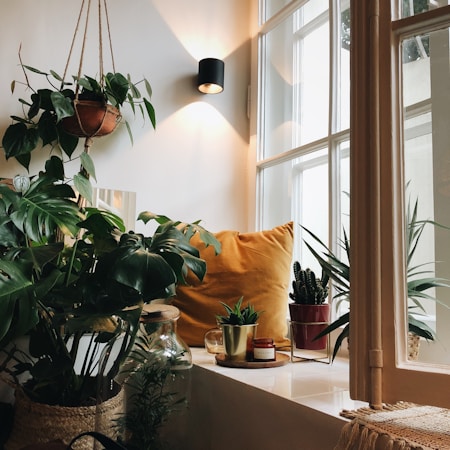 A cozy nook by a large window featuring various plants and a mustard yellow cushion. The space is decorated with hanging plants in a clay pot, potted plants on the window sill, a glass jar, and a lit candle. Natural light pours in, creating a warm and inviting atmosphere.