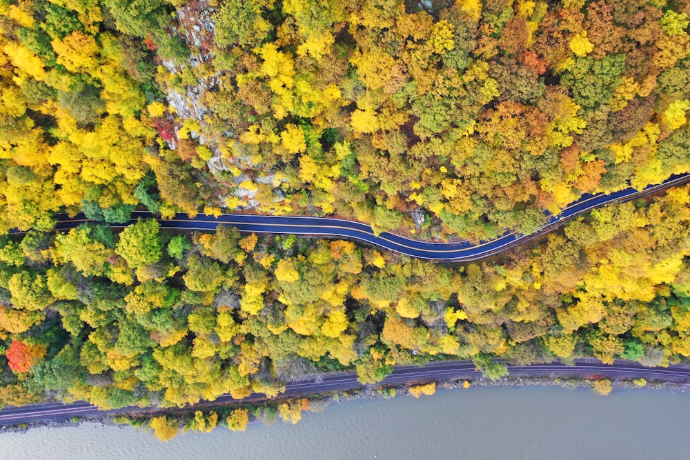 aerial photo of tree lot