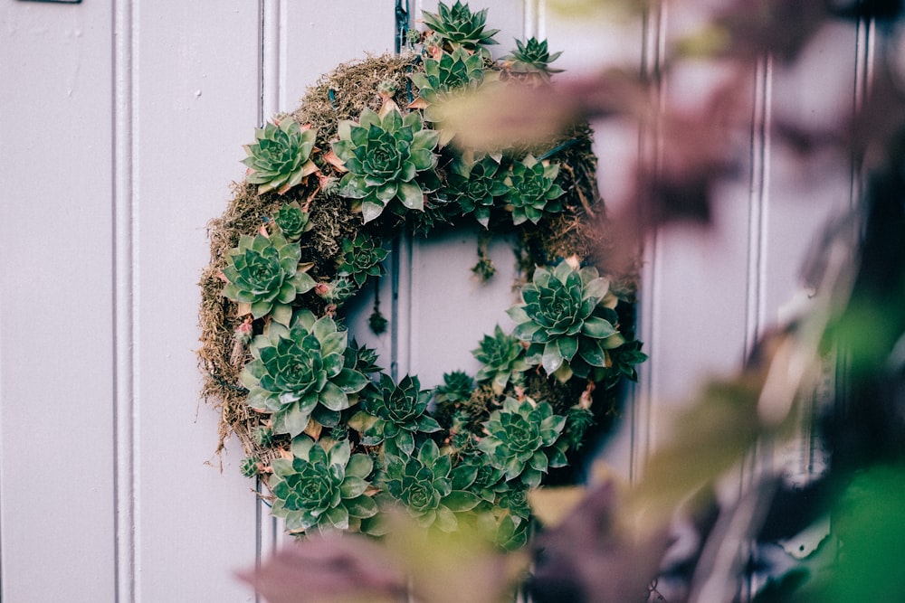 succulent wreath on white wall
