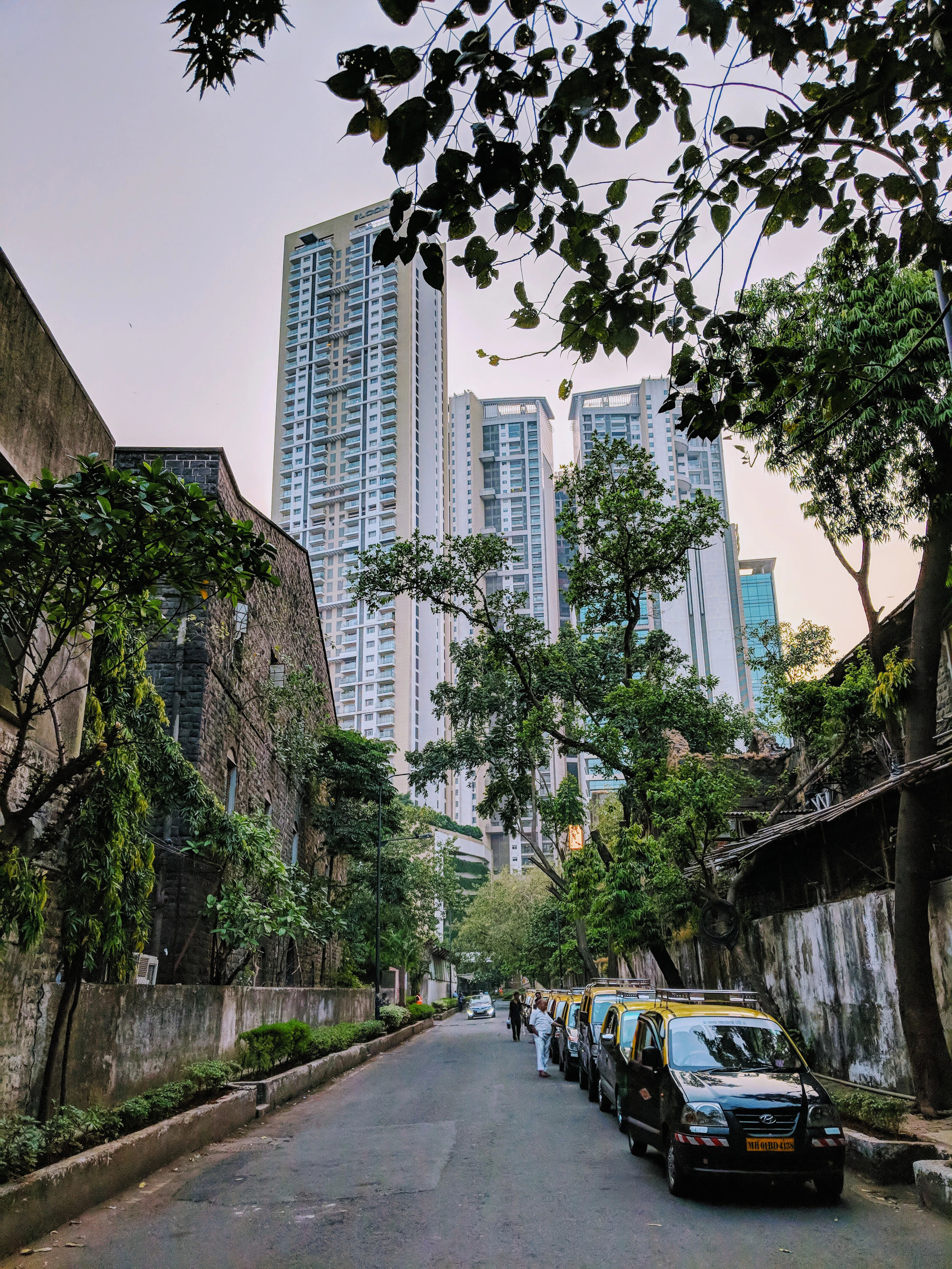 A quiet tree-lined lane with parked black-and-yellow taxis leads toward modern high-rise towers.