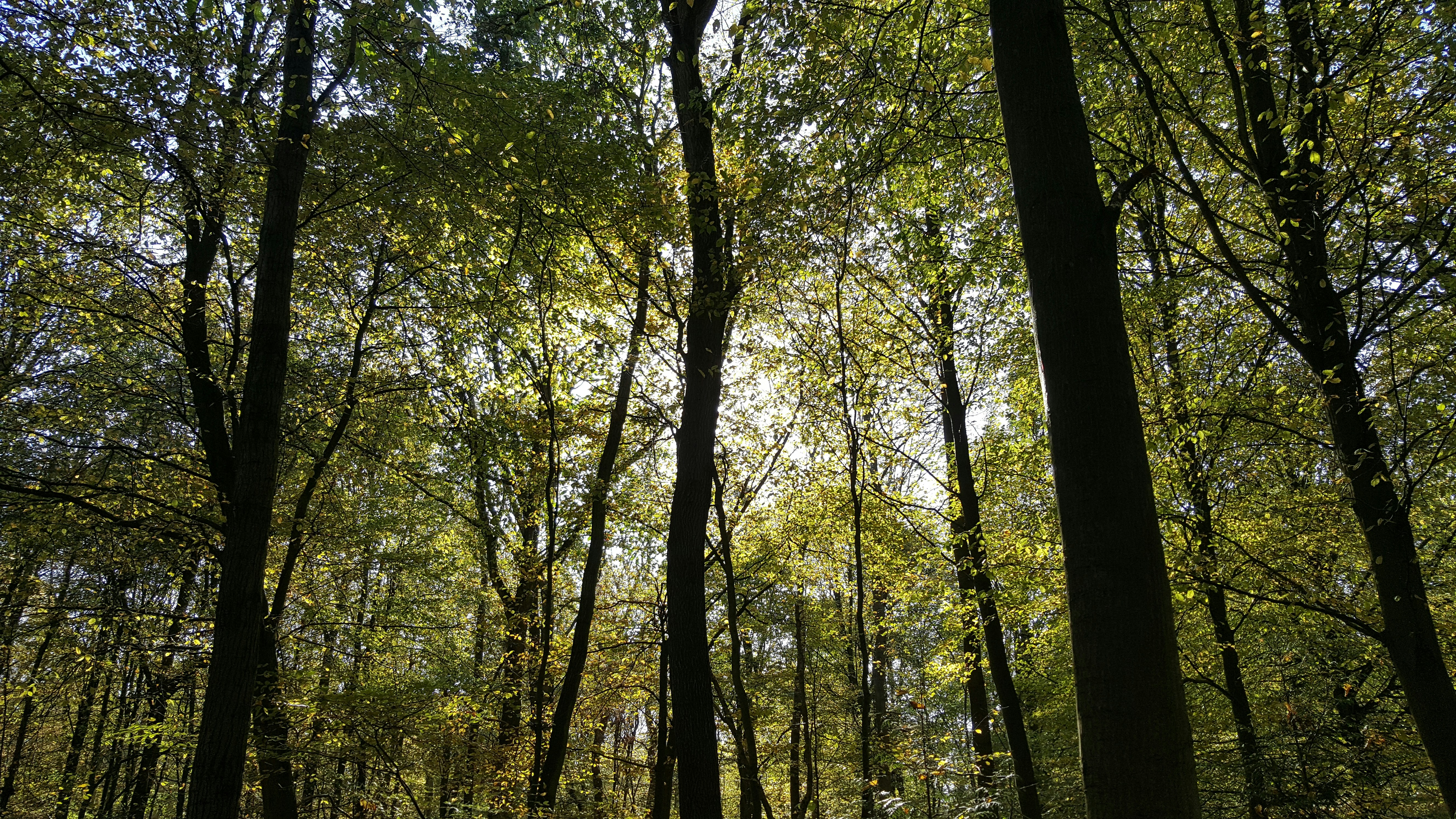 Photo by hypn0fiddl3r