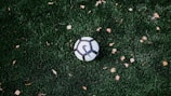 A soccer ball resting on a grassy field.
