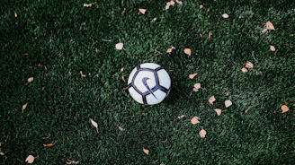 A close-up of a soccer ball resting on a green pitch, ready for kickoff.
