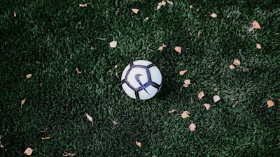 A soccer ball resting on a grassy field.