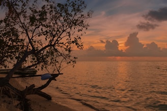 A serene view of a hammock strung between two trees, overlooking a tranquil lake at sunset.