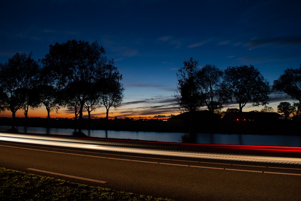 silhouette of trees beside body of water