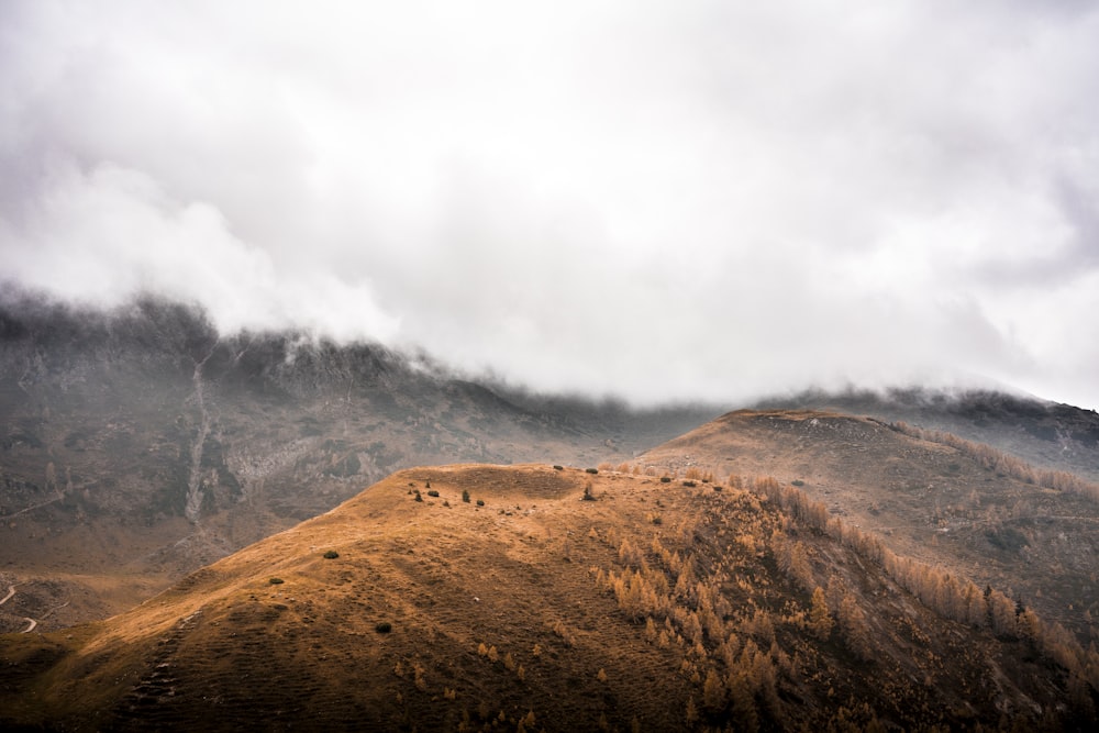 a group of people walking up a hill on a cloudy day