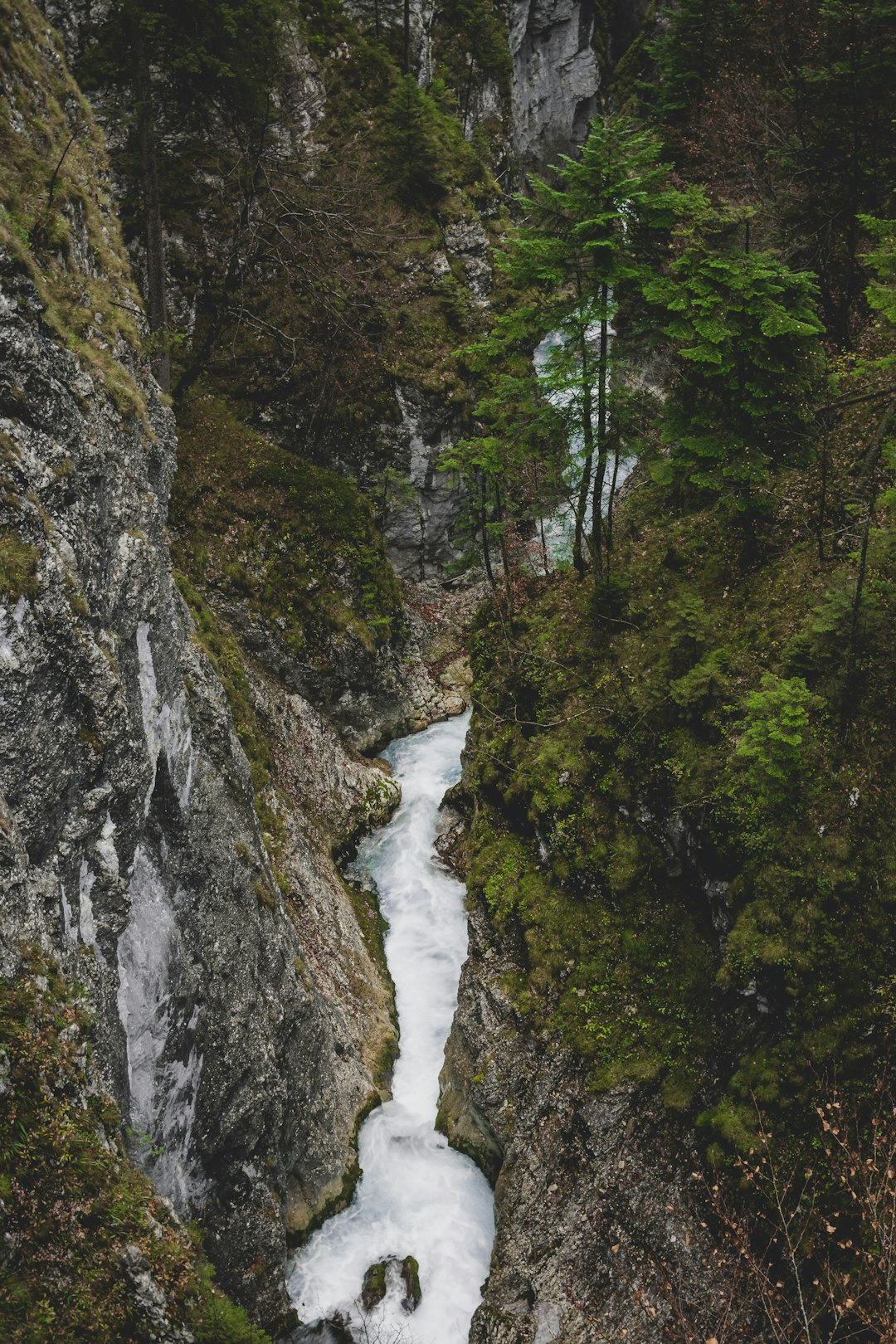 Watercourse photo spot Partnach Gorge Garmisch-Partenkirchen