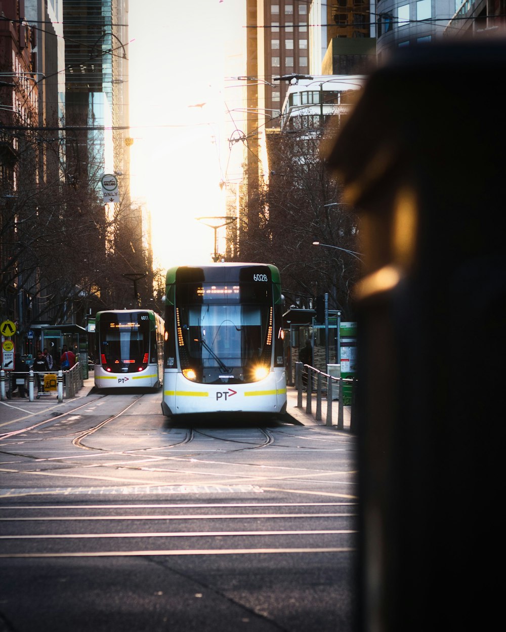 two silver-and-black buses on street