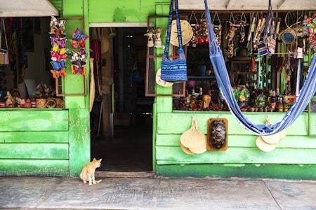 A small shop with vibrant green wooden walls displays a variety of colorful handcrafted items, including hanging ornaments and bags. A hammock is strung to the right, and a curious cat sits near the entrance, observing the scene. Woven fans, shells, and decorative masks are attached to the outer walls, adding to the eclectic charm.