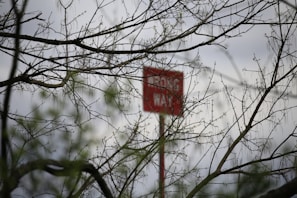 A blurred red sign is seen through a network of leafless branches. The background is an overcast sky, creating a somber atmosphere. The delicate branches are thin and sparsely populated with budding leaves, adding a natural pattern to the foreground.