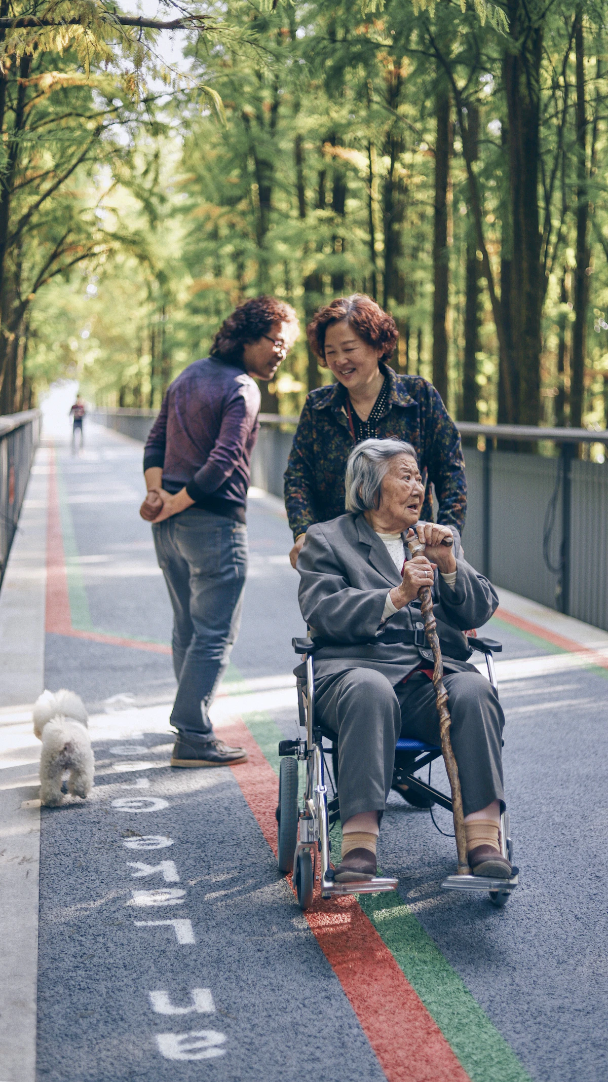 A family walking together outdoors alongside an older woman using a wheelchair