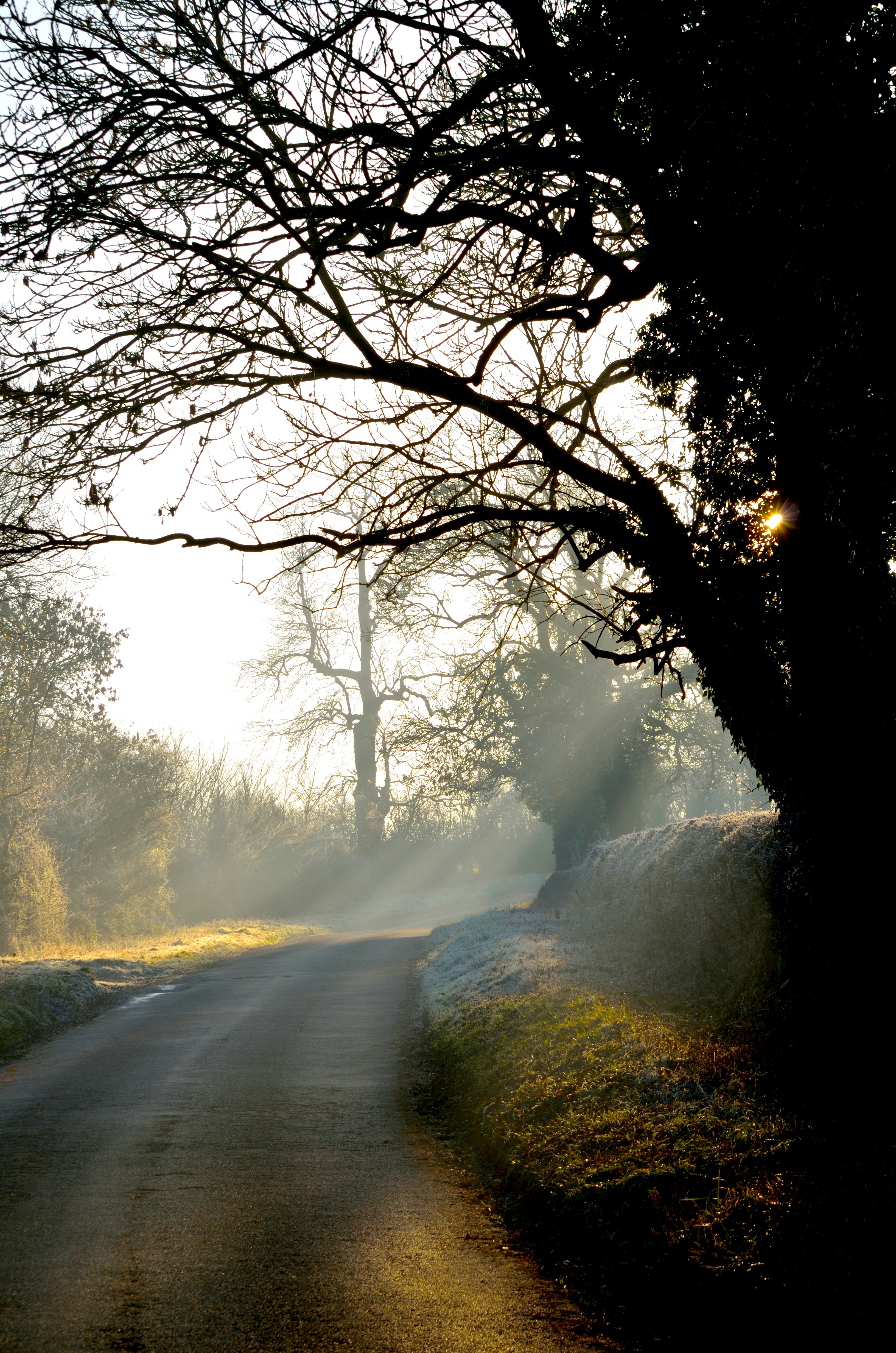As the frozen fog lifted one morning the sunlight gave us some charming views in Northamptonshire.
