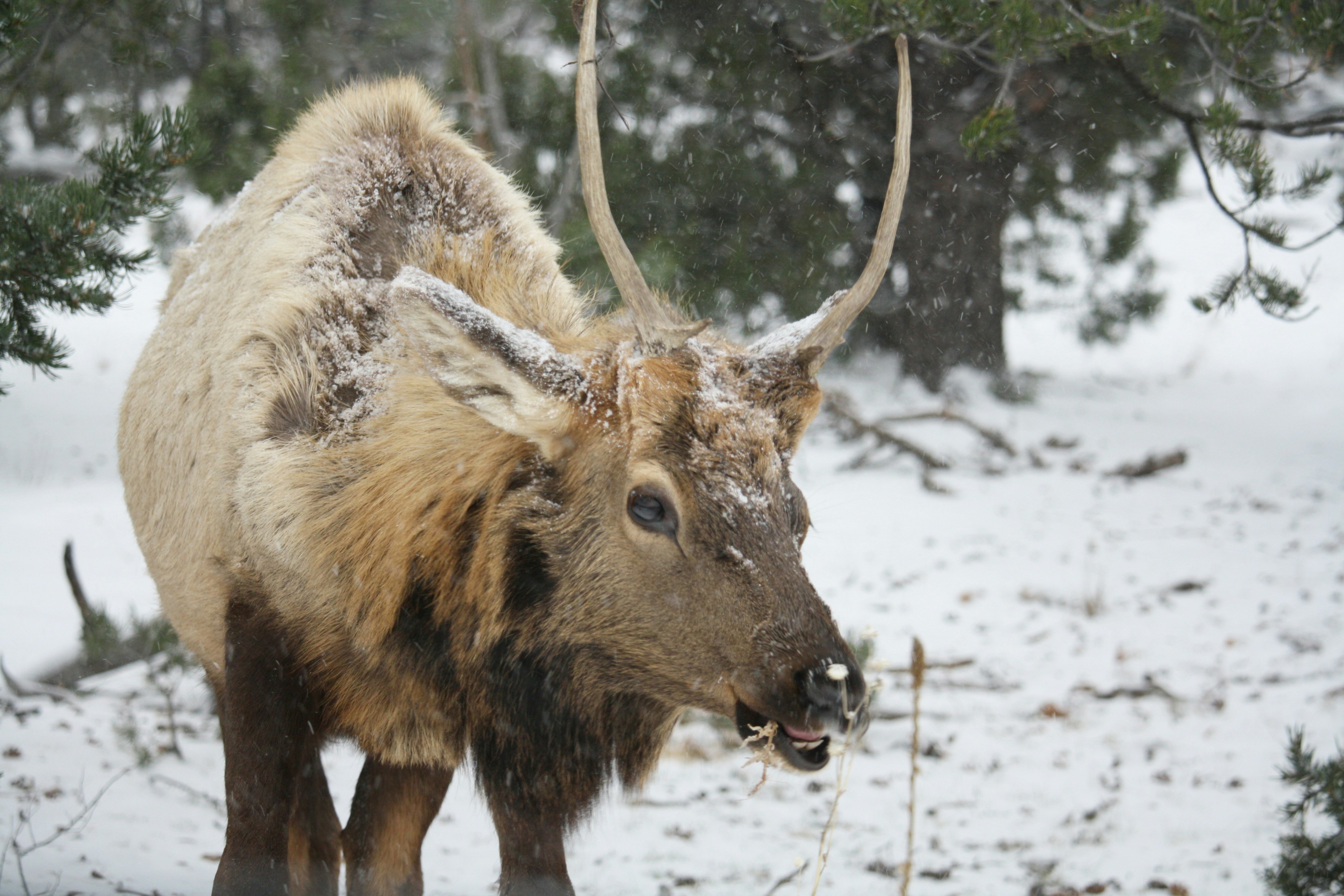 Photo by kristelhayes