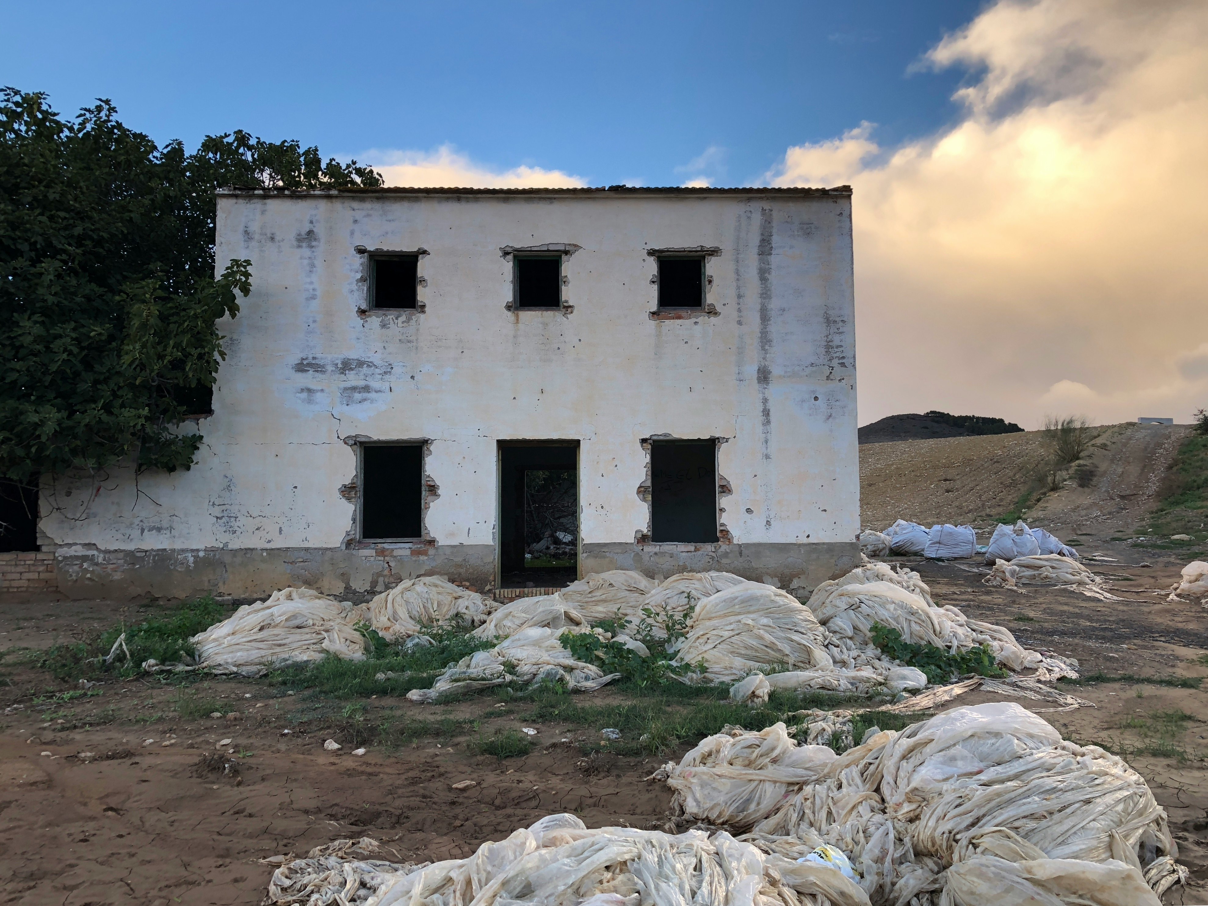 white concrete building beside tree